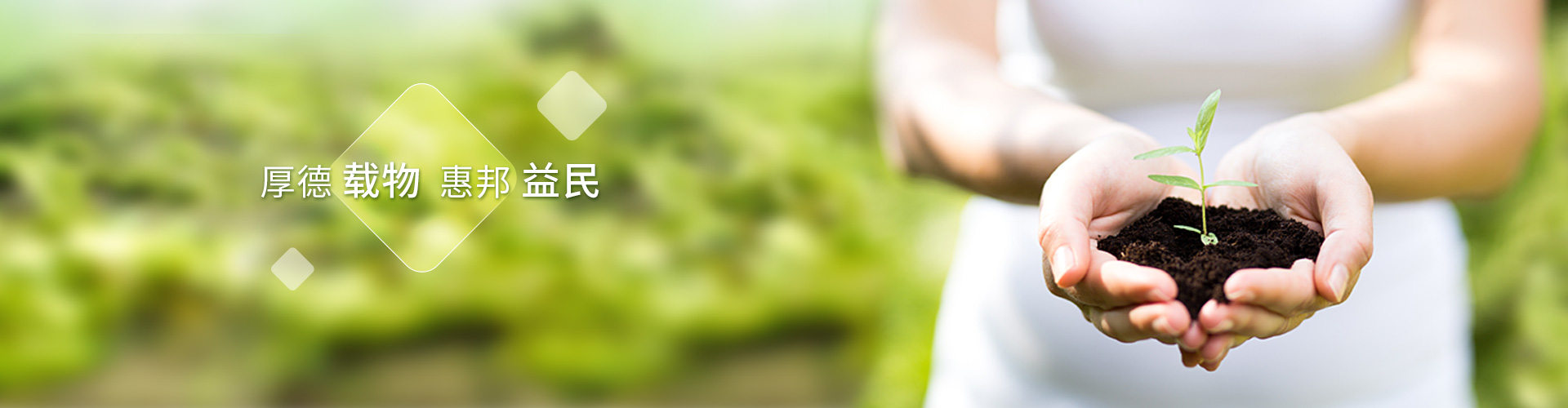 幸运彩股份