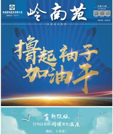 总第45期